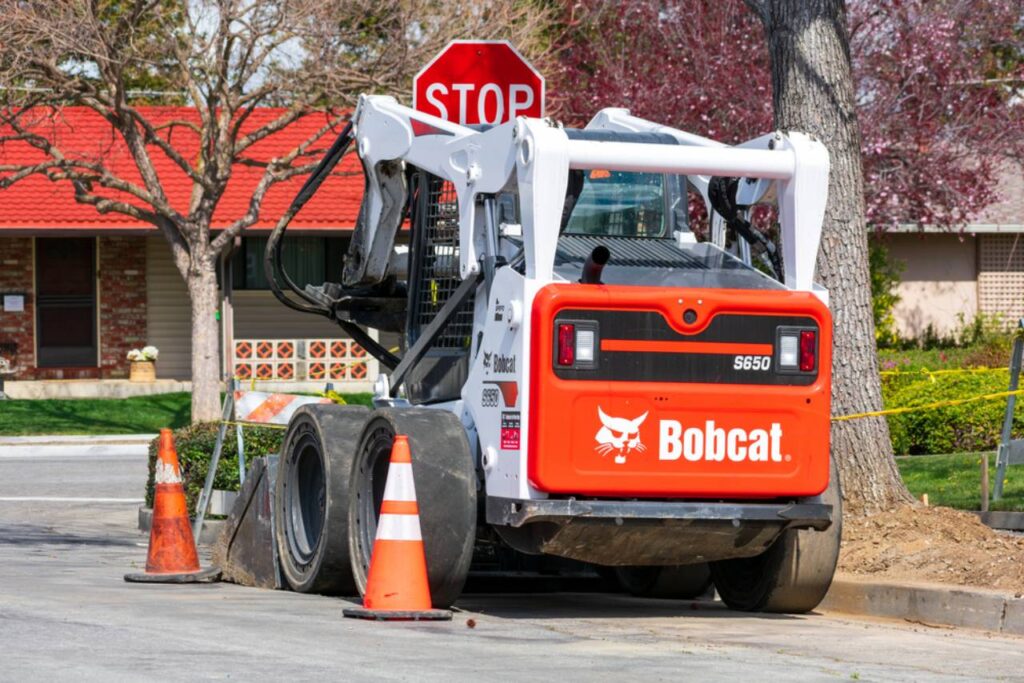 Bobcat