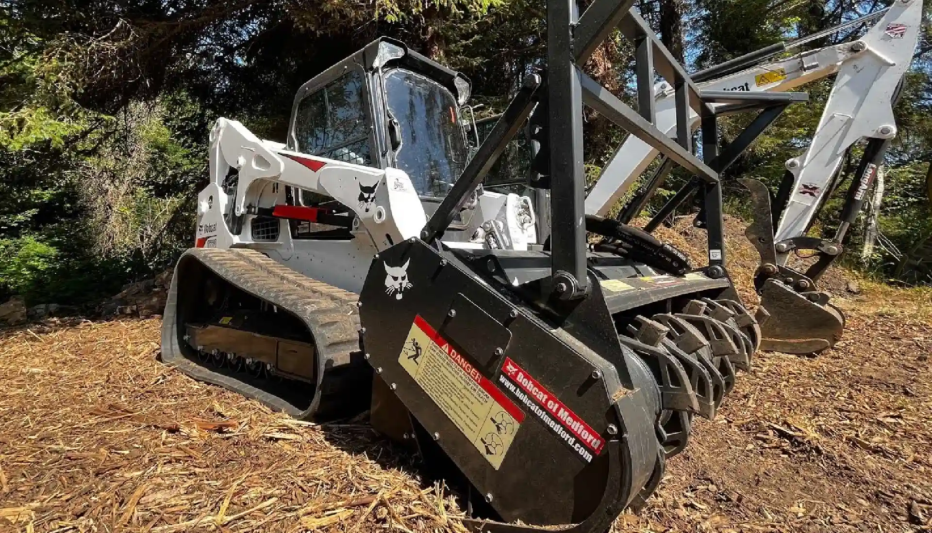 Bobcat