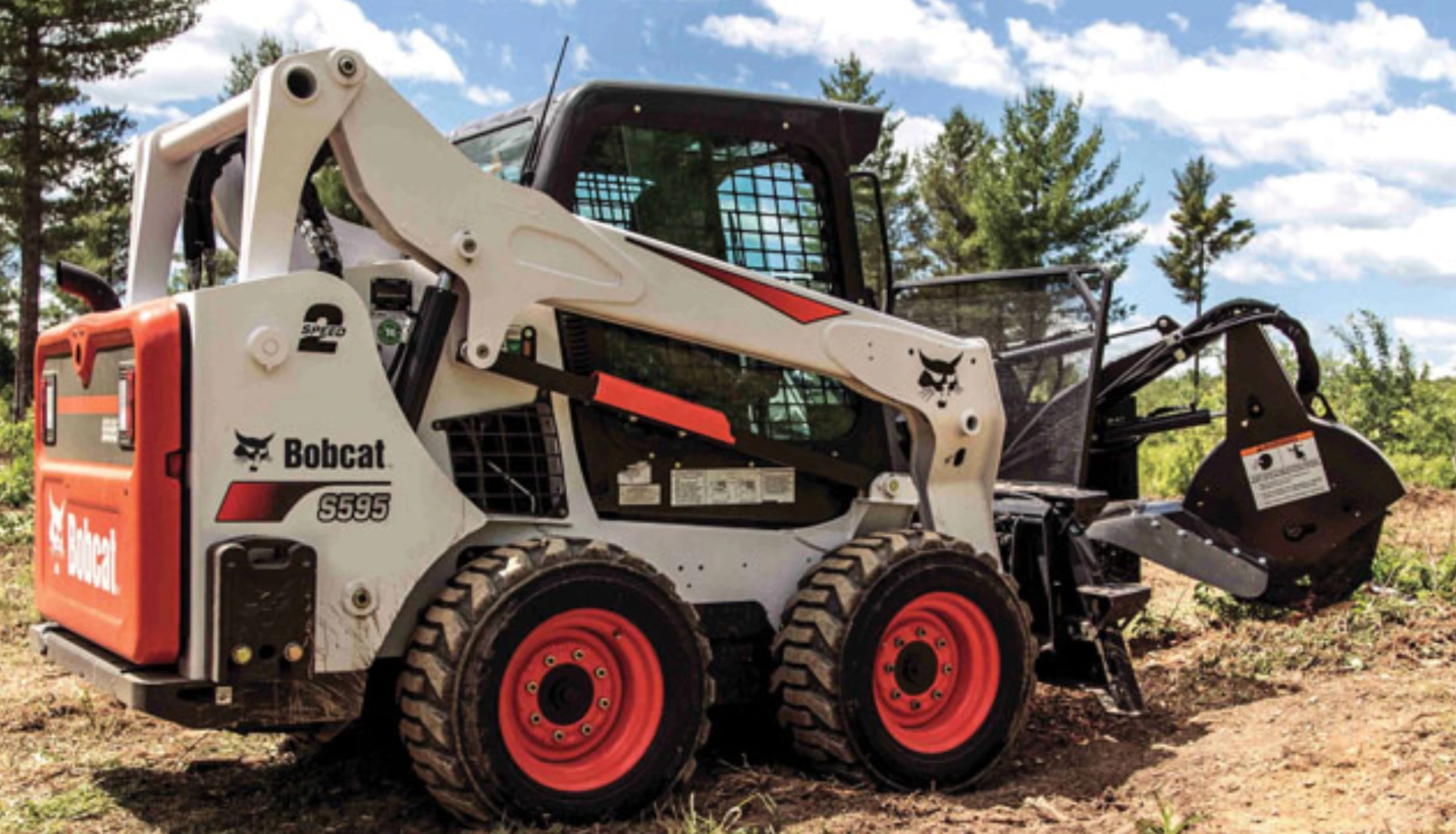 Bobcat