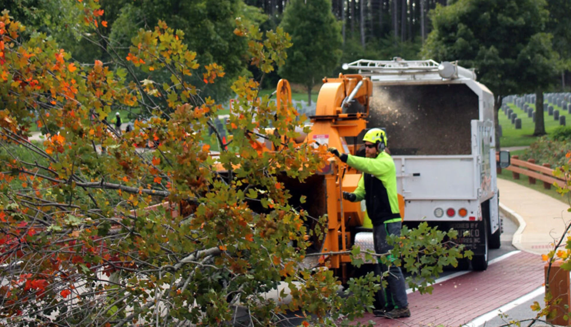 Safety Considerations