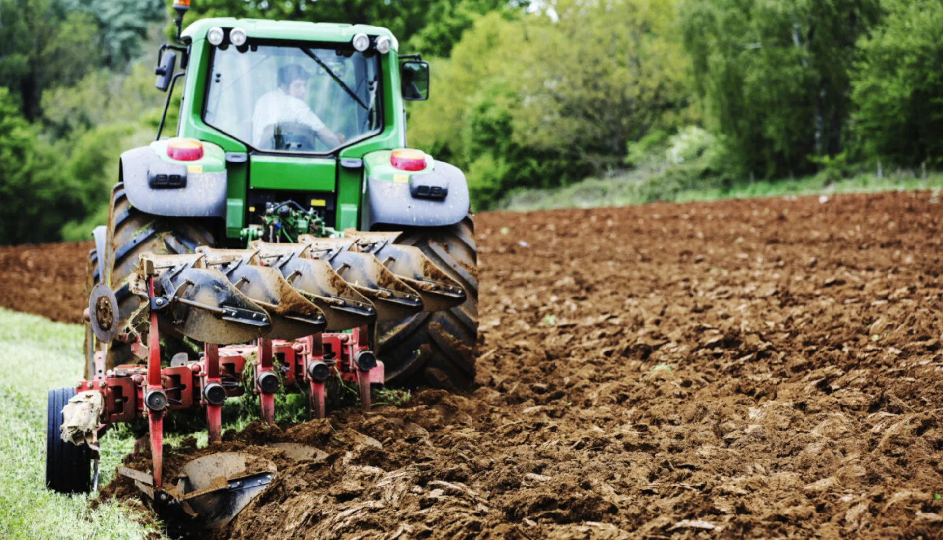 Soil Type and Conditions