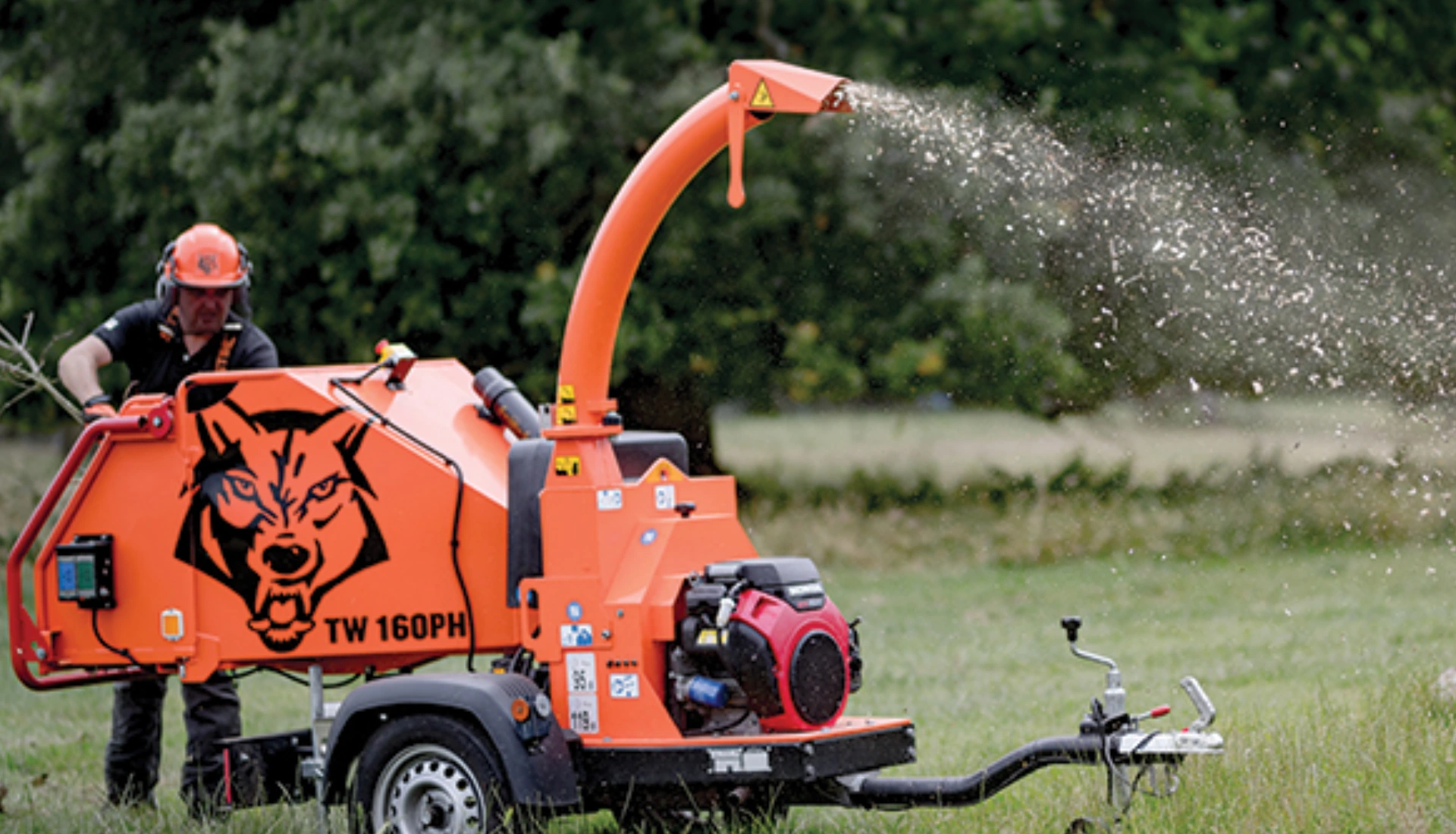 Timberwolf: The Innovative Import